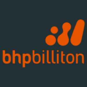 CV writer for jobs in BHP